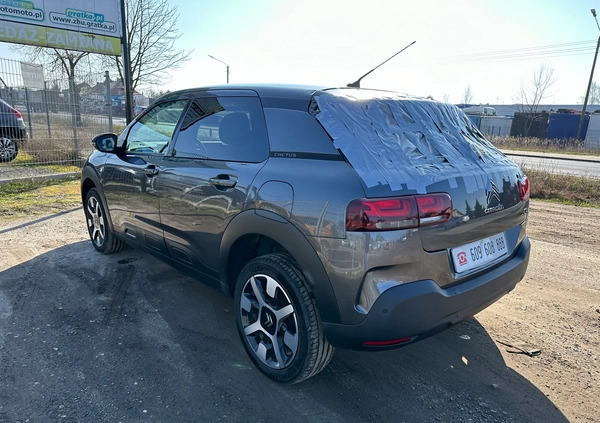 Citroen C4 Cactus cena 26900 przebieg: 101000, rok produkcji 2019 z Turek małe 631